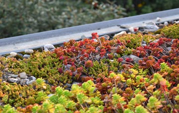 the cost of Milton Of Leys green roof installation