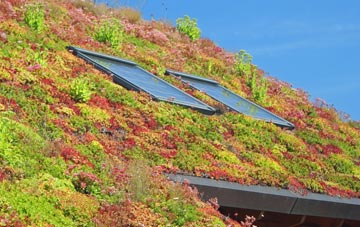 Milton Of Leys living roof systems