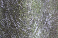 Milton Of Leys fibreglass roof work